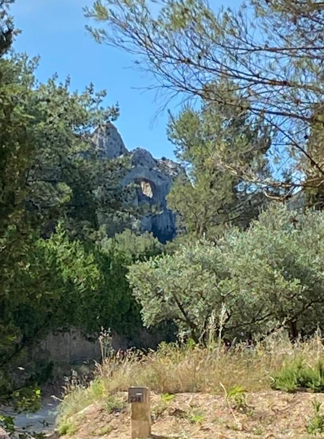 Mas De La Cadeniere Villa Saint-Rémy-de-Provence Buitenkant foto